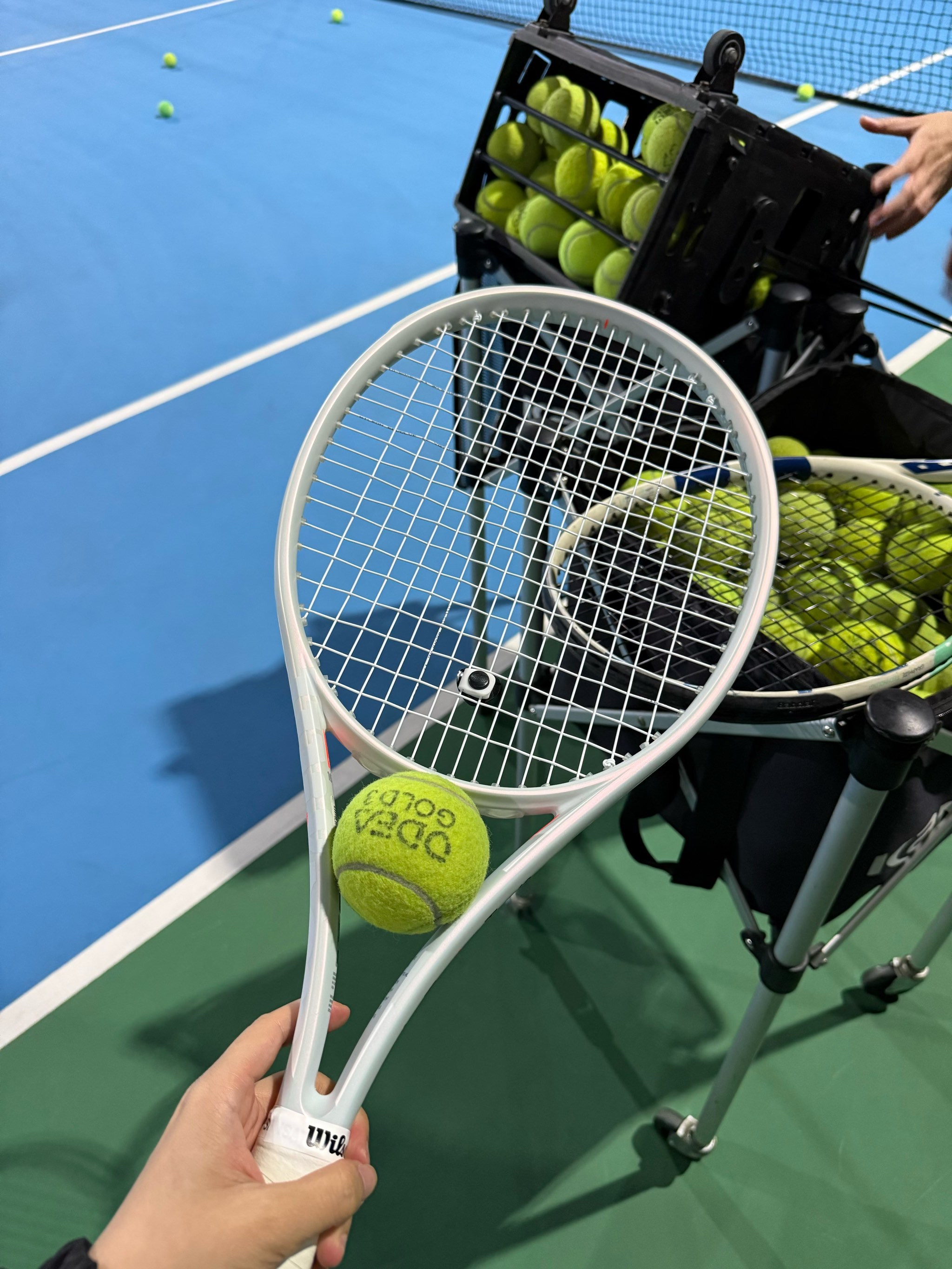 多点开花 多点开花