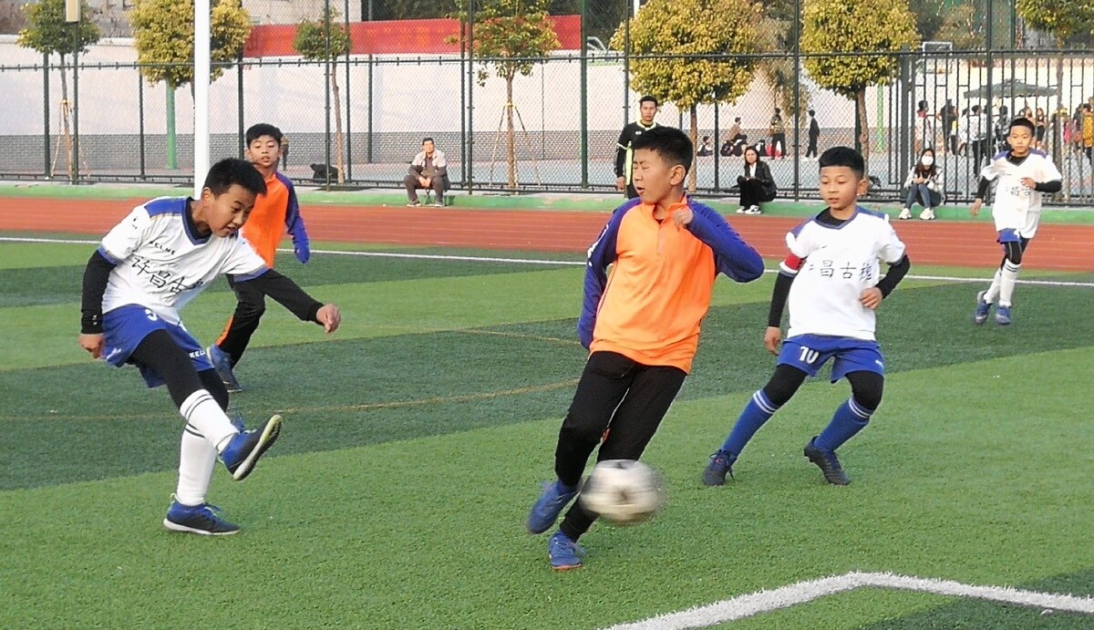 职业生涯的 职业生涯的